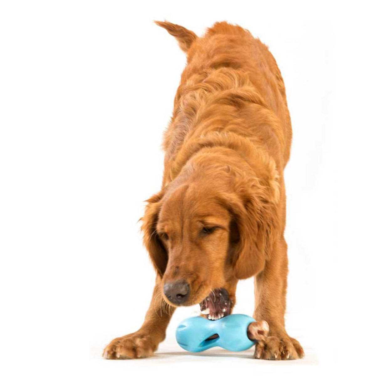 Dog Toy A2812