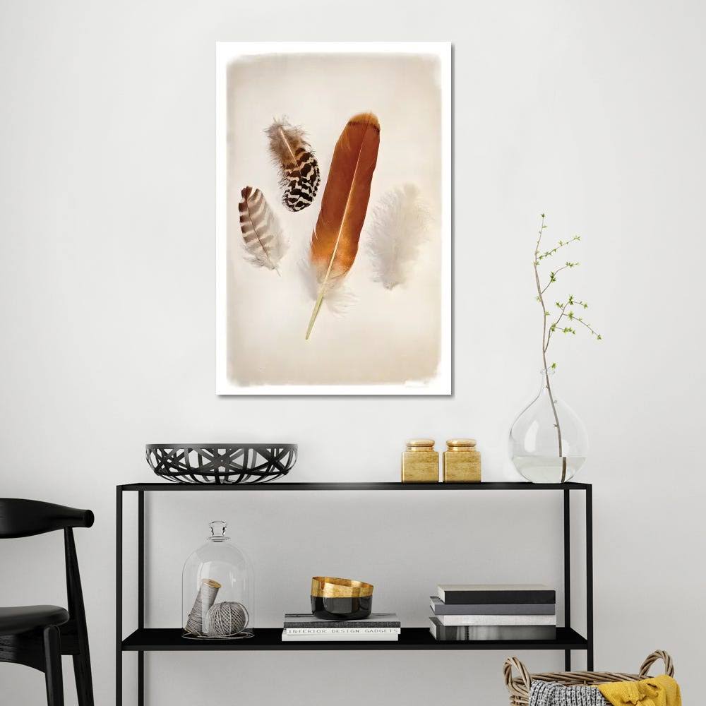 Canvas Wall Decor Prints - Feather Group I K439524