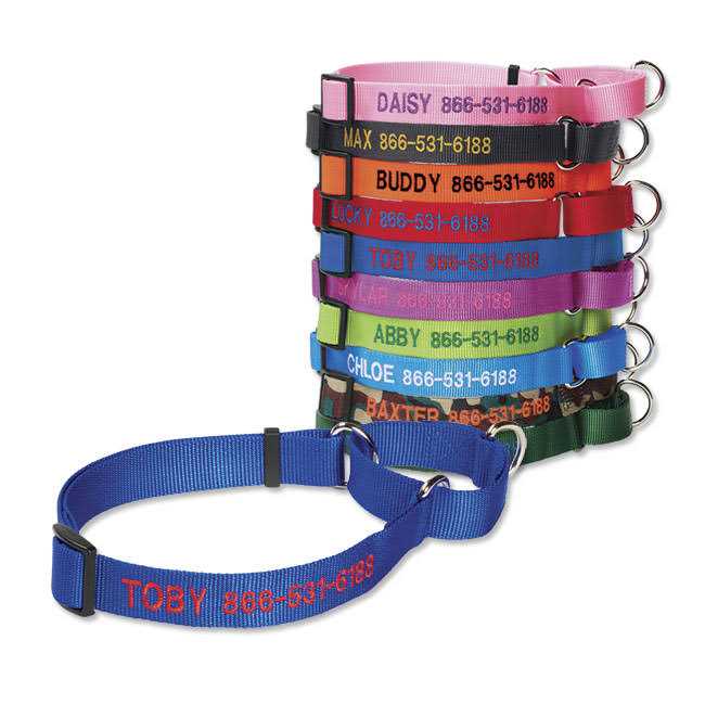 Martingale Collar Y119707