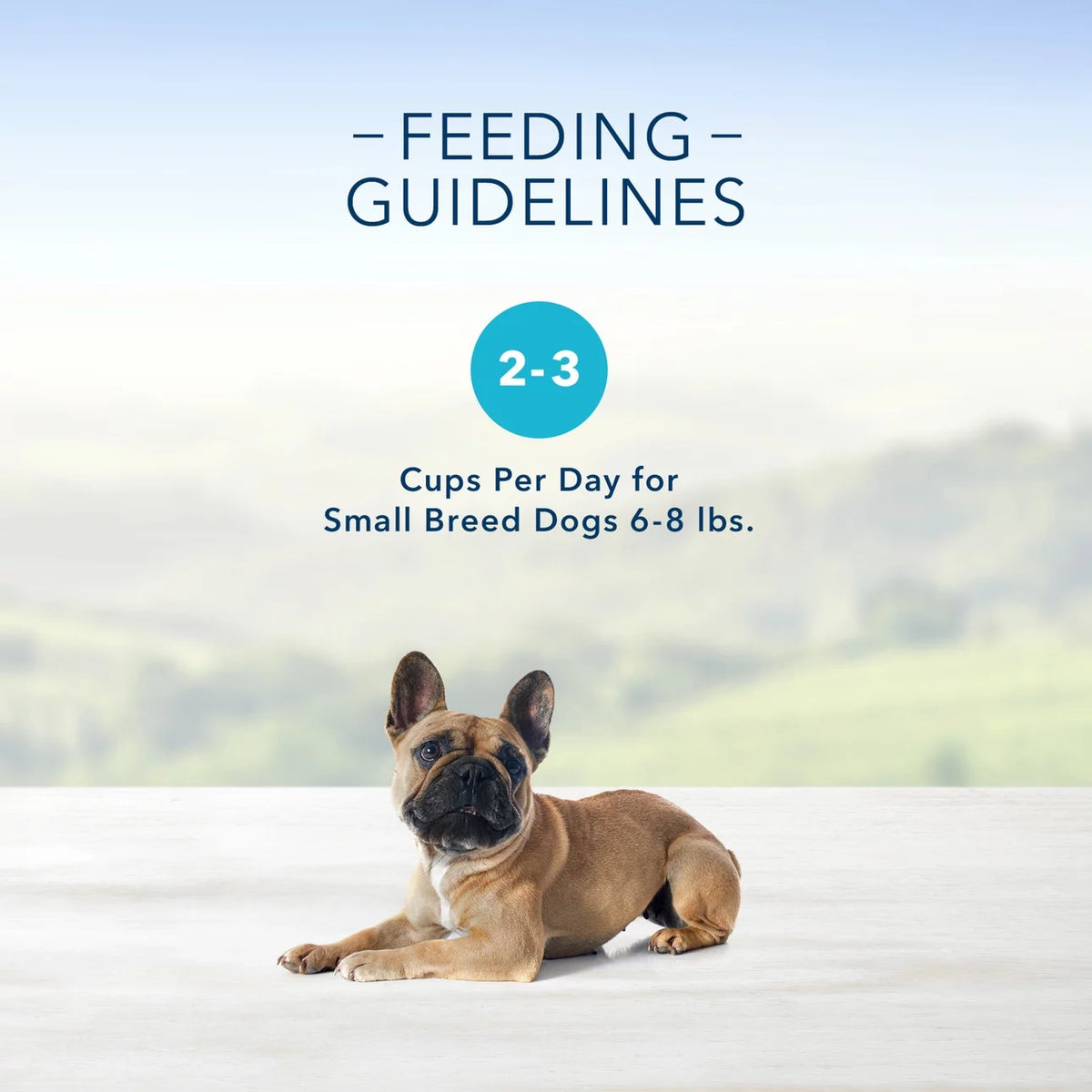 3.5 oz Grain-Free Wet Dog Food V4951