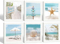 13''x13'' Framed Beach Shell Wall Art Z18626