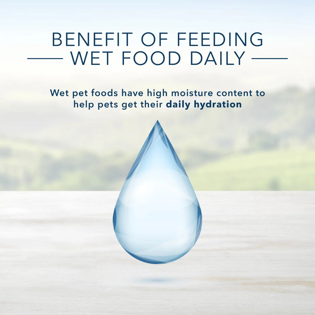 3.5 oz Grain-Free Wet Dog Food V4951