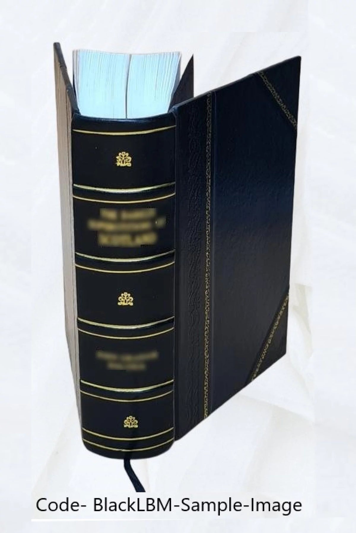 Leather Bound Book Y4430