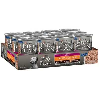 Chicken & Rice Canned Adult Dog Food R95376