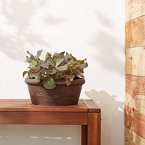 Terra Cotta Color 10-inch Shallow Bulb Pan Planter Dish H3374