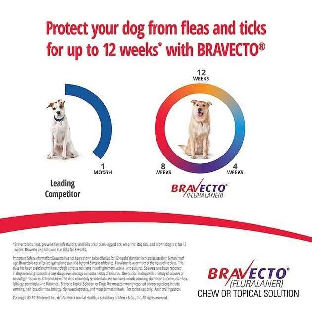 Bravecto Chews for Dogs X54152
