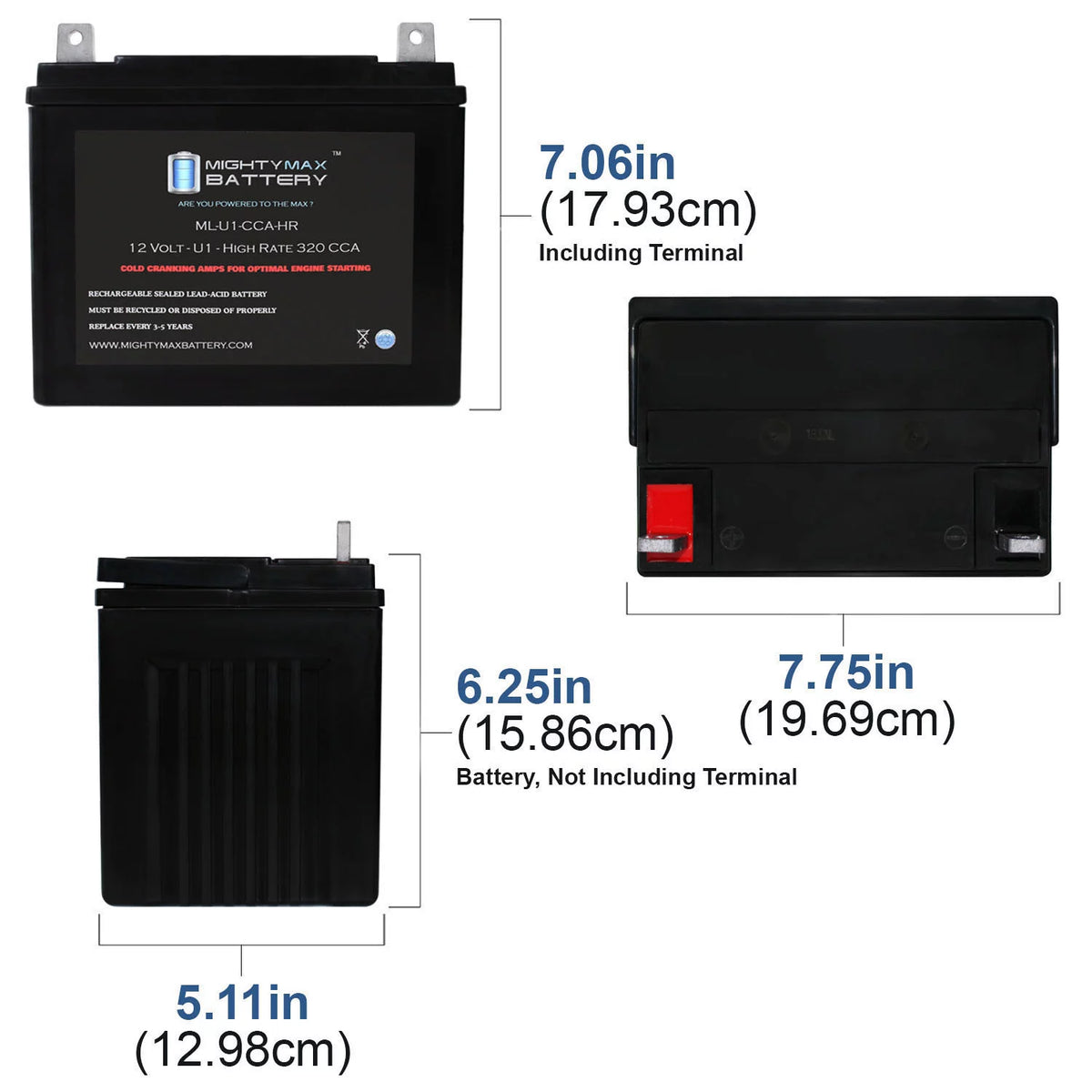 12V 320CCA Battery X1097