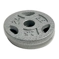 10 lb Standard 1 Weight Plate Set (2.5 lb x 4) K8317