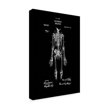 Anatomical Skeleton Art Print L327362