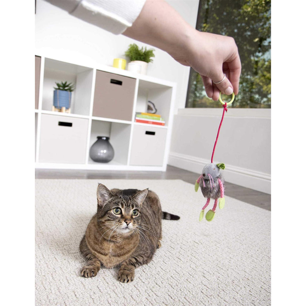 Cat Toy B516576