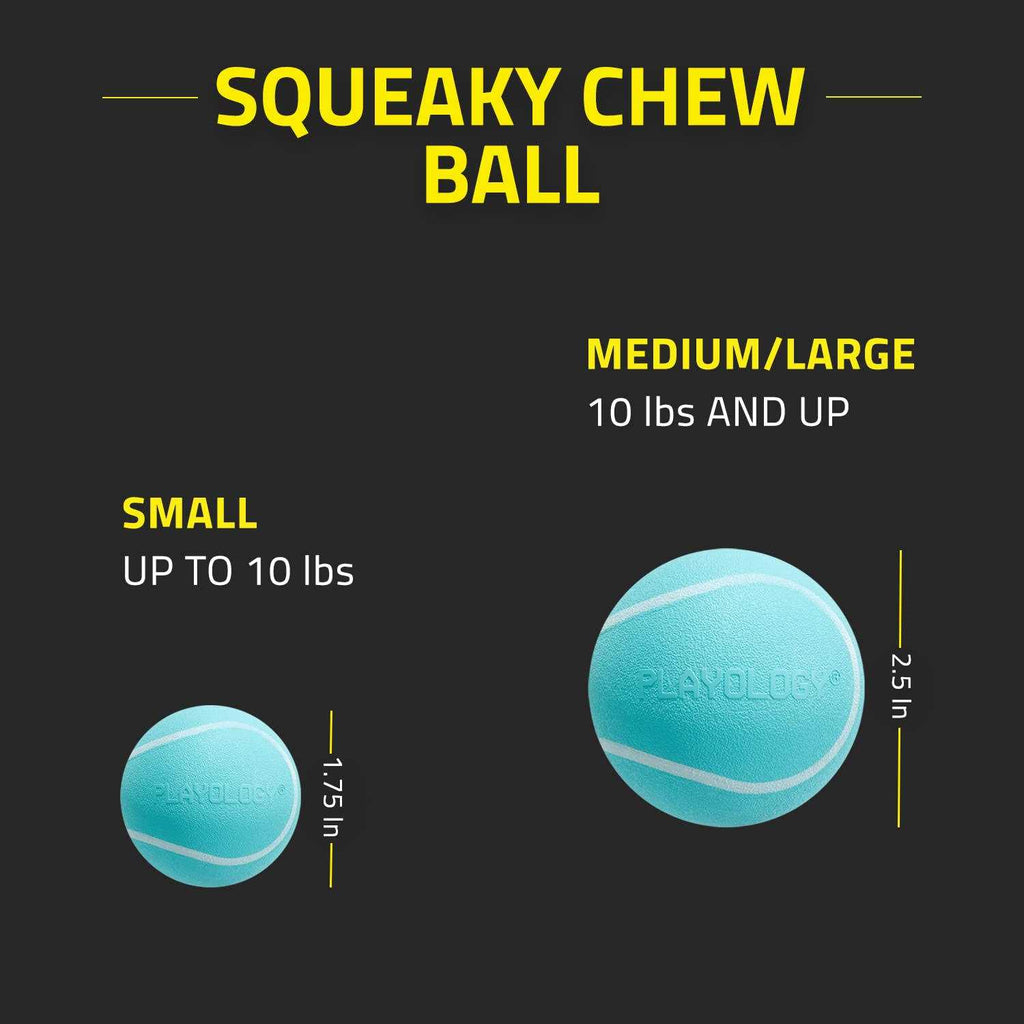 Squeaky Chew Ball Dog Toy X3388
