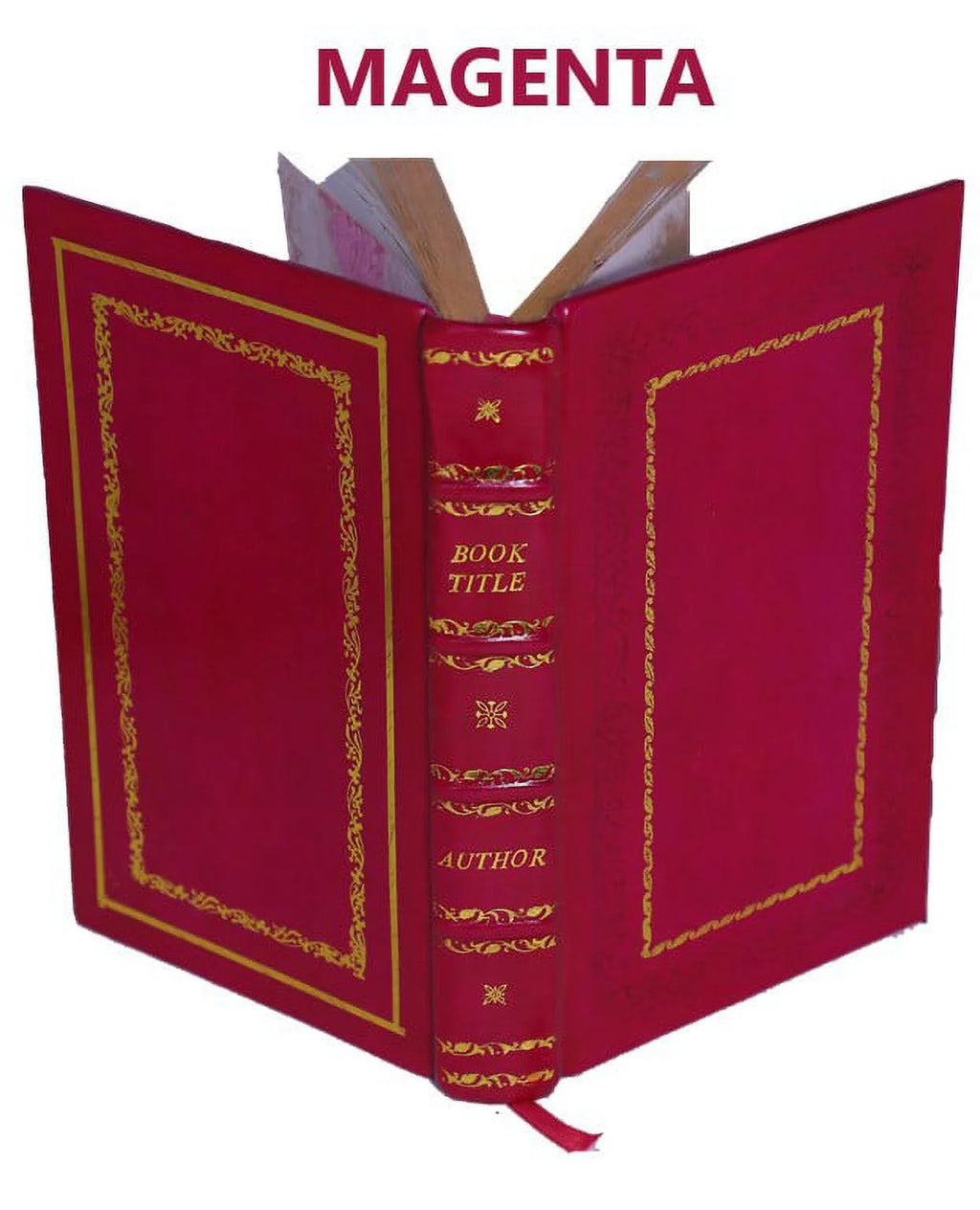 Premium Leather Bound Book H6644