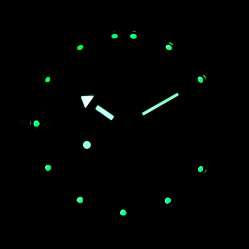 Automatic Wrist Watch V760