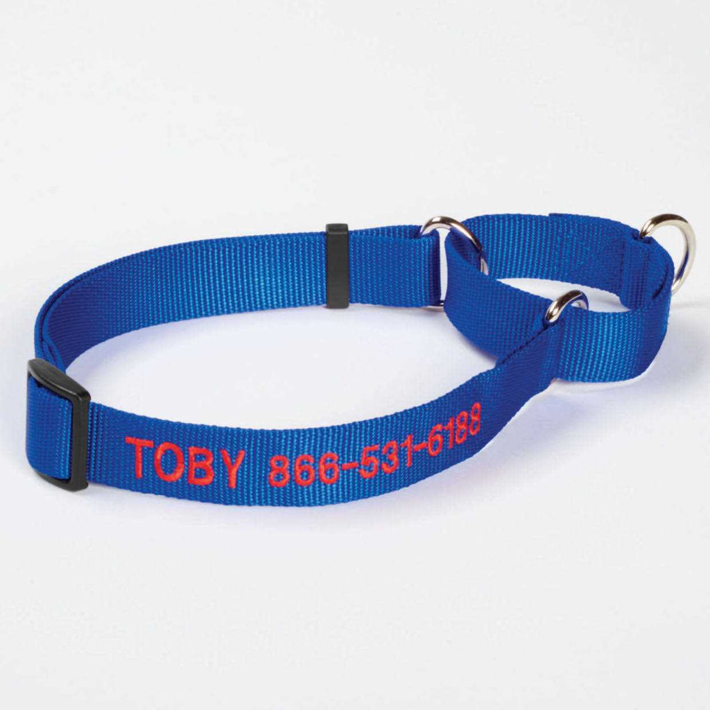 Martingale Collar Y119707