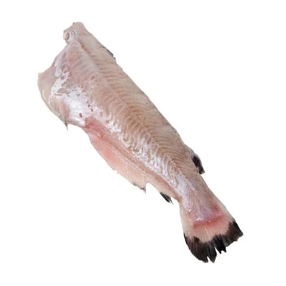 15 Pound Catfish R518