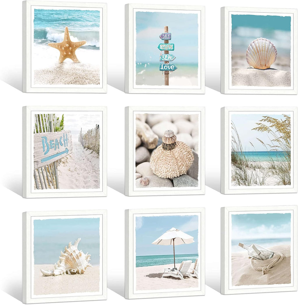 13''x13'' Framed Beach Shell Wall Art Z18626