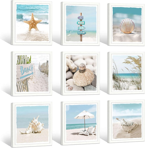 13''x13'' Framed Beach Shell Wall Art Z18626