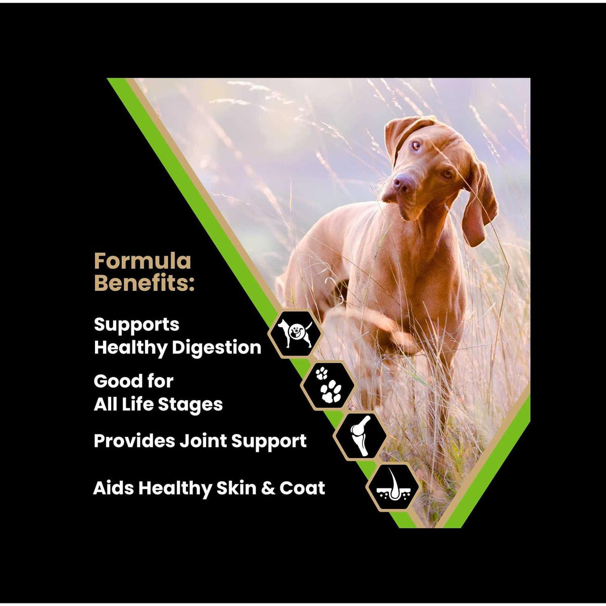 Dry Dog Food W110