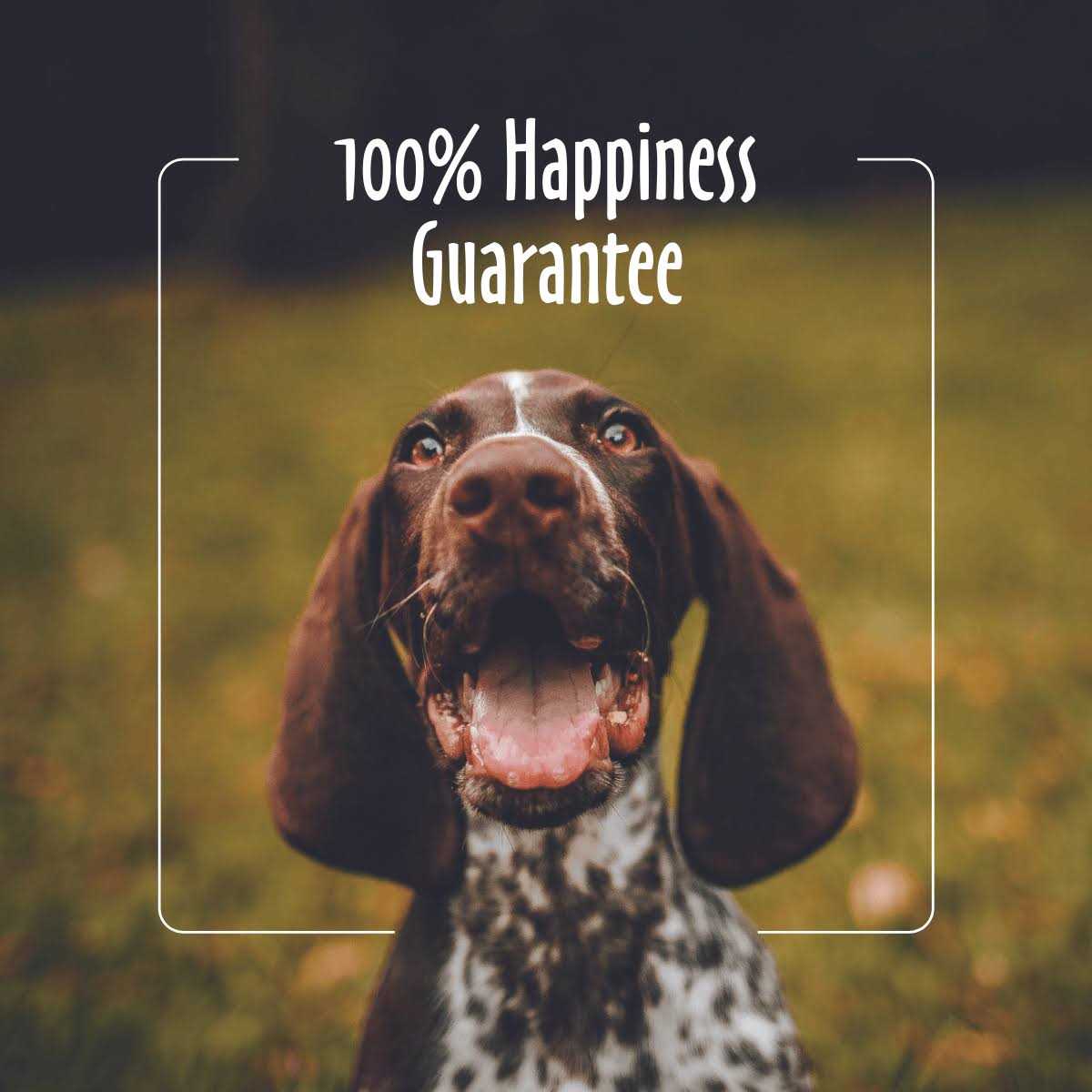 Facial Wipes for Dogs & Cats D526951