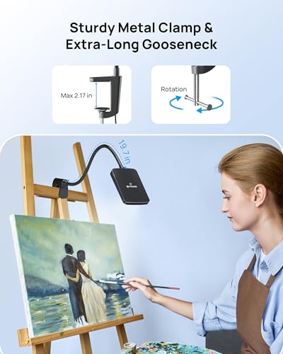 LED Desk Lamp with Clamp, 3-Level Dimmable, Flexible Gooseneck P314