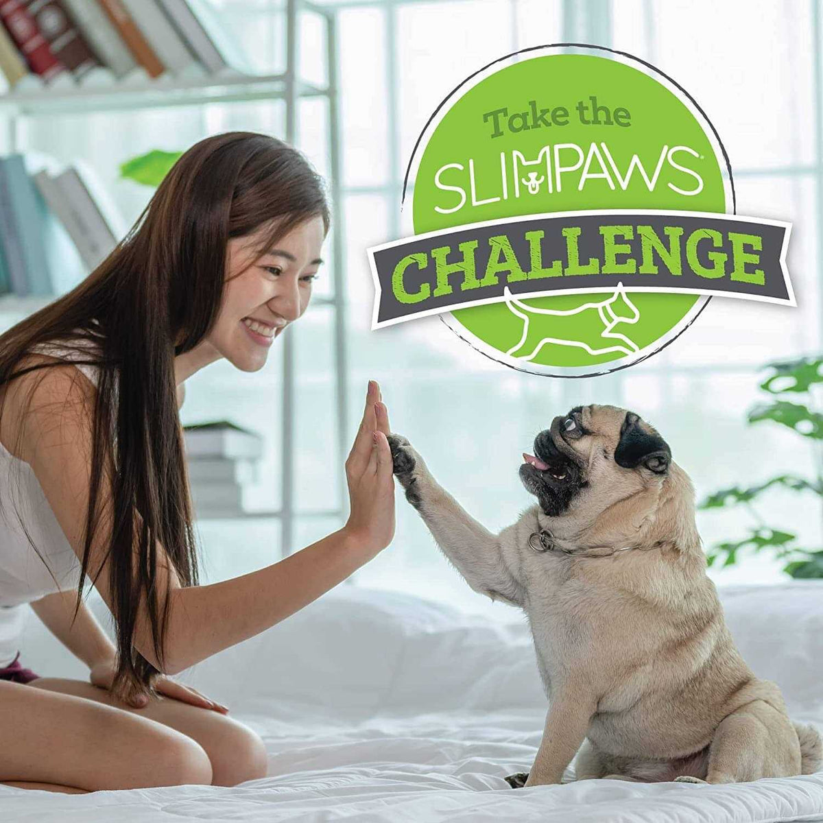Weight Loss Soft Chews for Dogs 60 ct A5259
