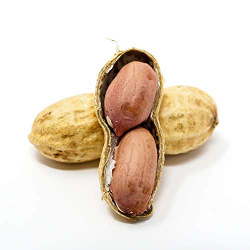 Raw Peanuts in Shell, 2.5 lb Q32361