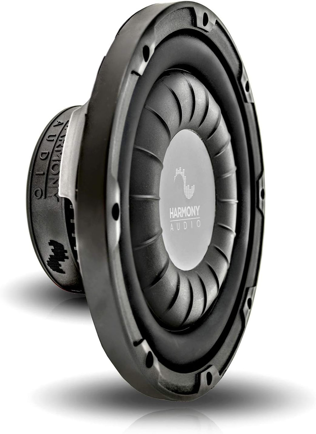Dual 10 Sub Box Bundle with Amp W192