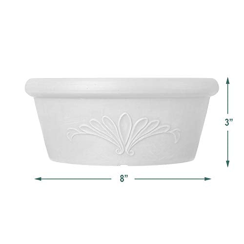 Terra Cotta Color 10-inch Shallow Bulb Pan Planter Dish H3374
