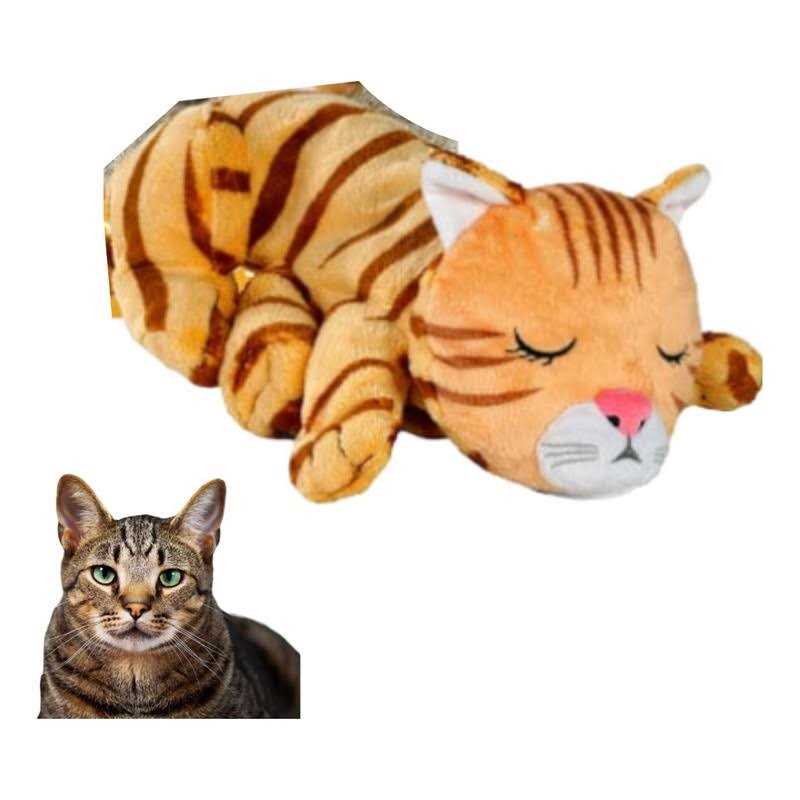 Cat Toy B1172