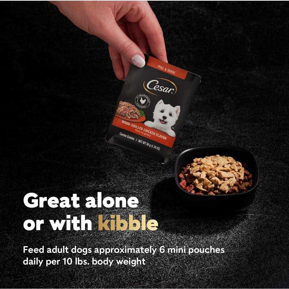 Wood-Grilled Chicken Flavor Wet Dog Food X748461