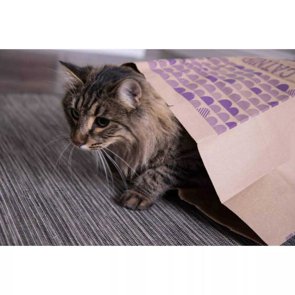 Catnip Caves H252077