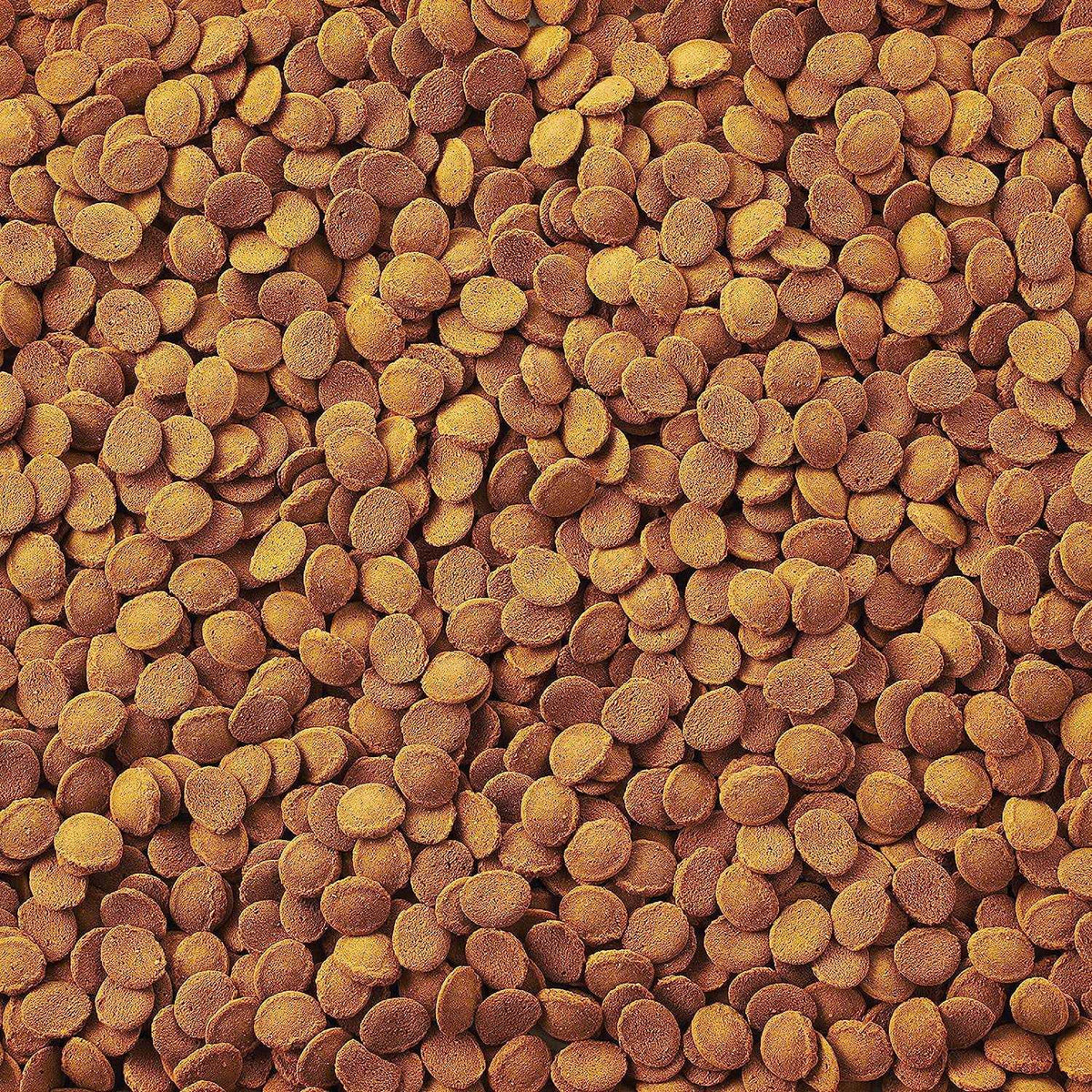 Fish Food Wafers C954