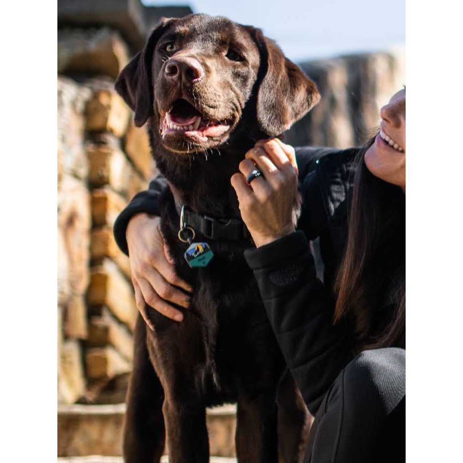 Silicone Dog ID Tag S4456