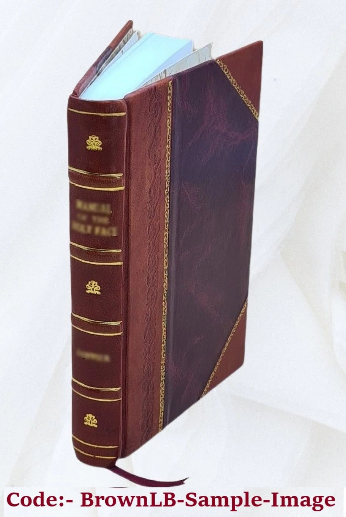 Jabal al-Durūz V538