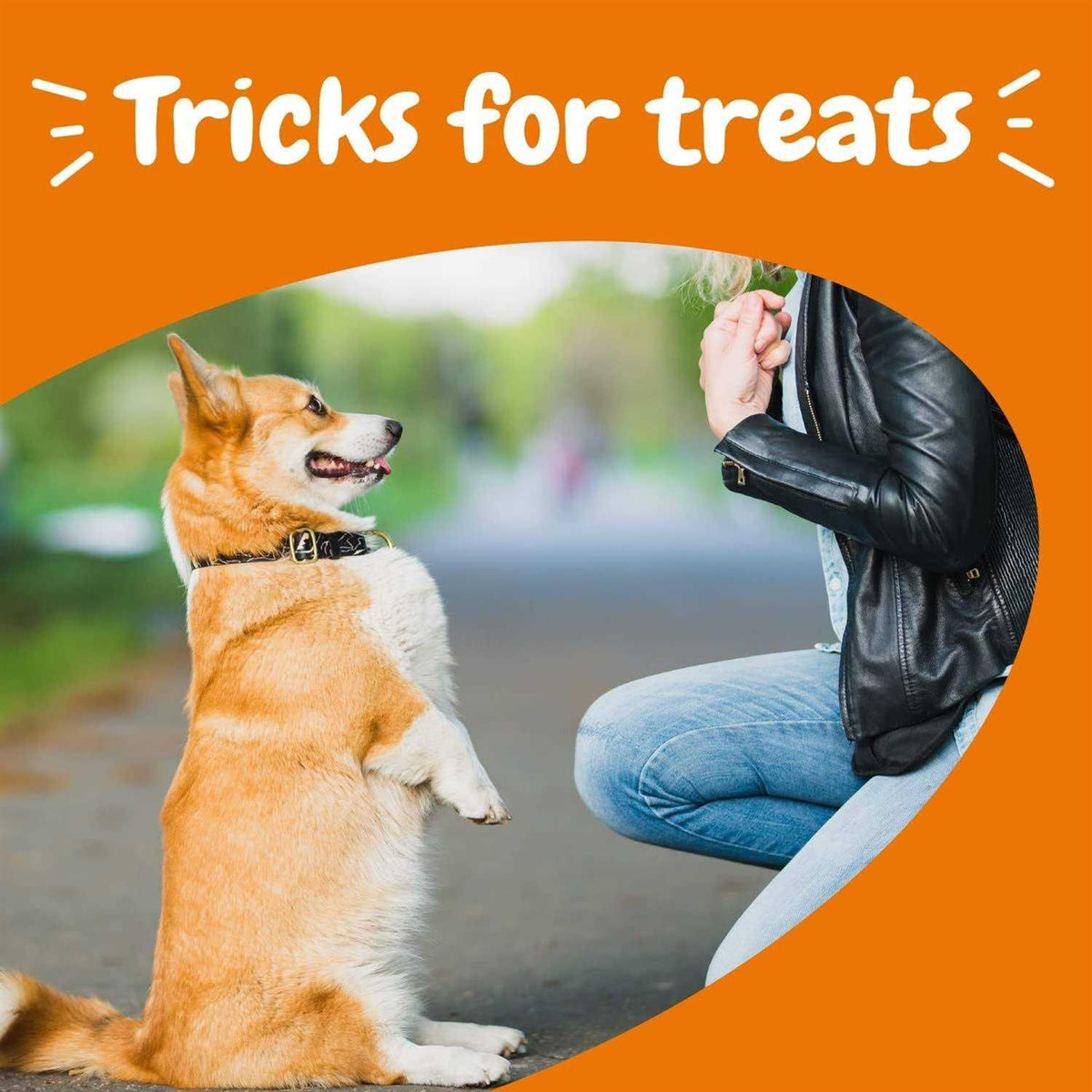 Training Treats for Dogs F79286