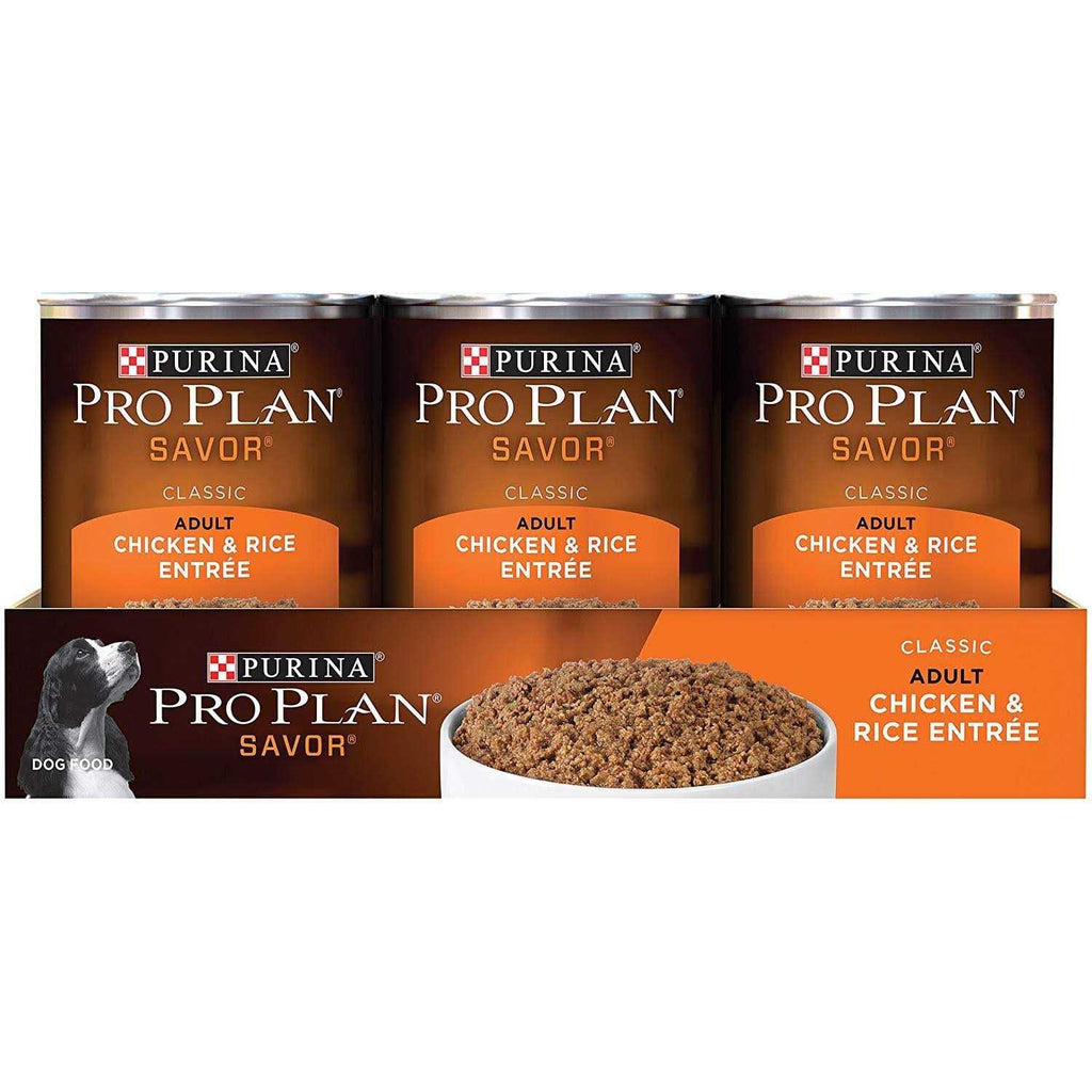 Chicken & Rice Canned Adult Dog Food R95376