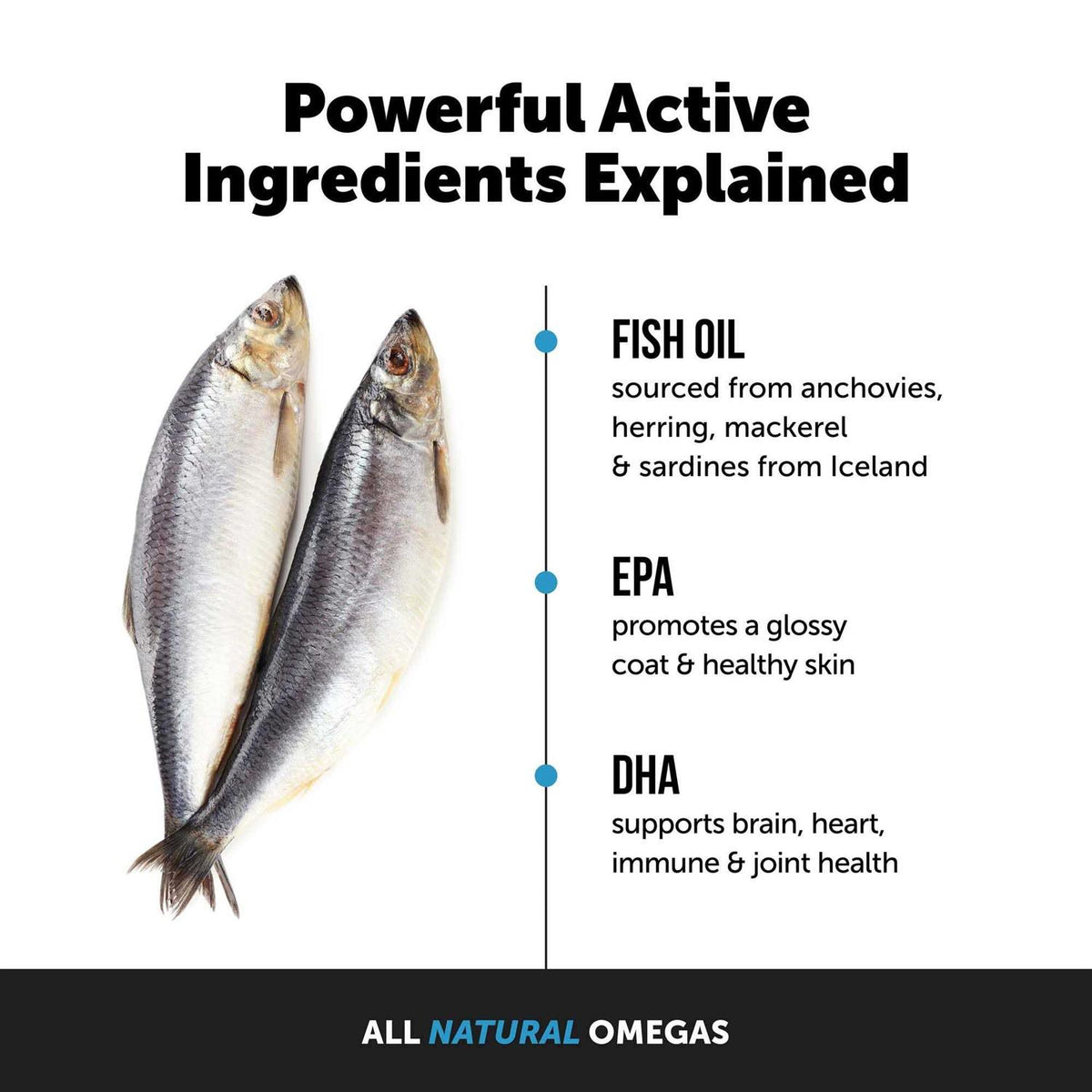 Wild Caught Omega-3 Fish Oil Supplement for Dogs and Cats D240