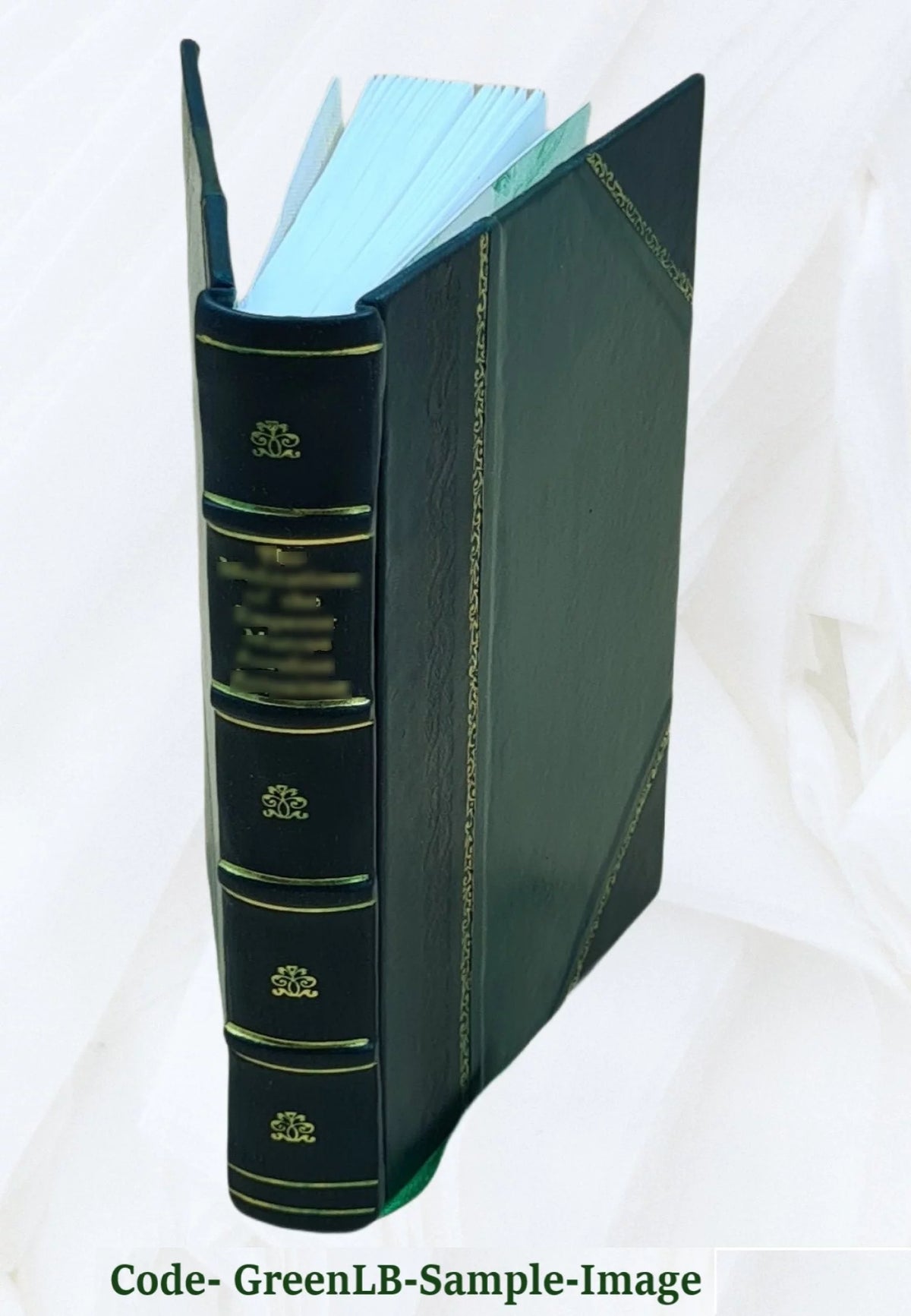 Leather Bound J4063